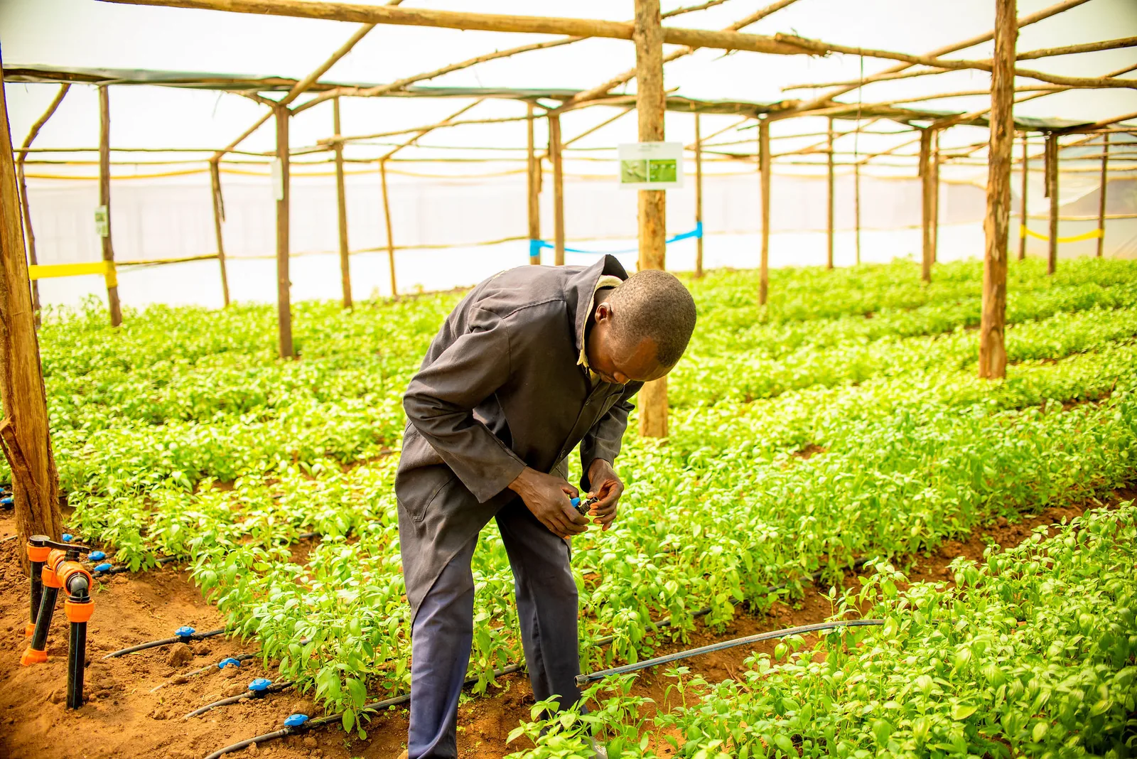Farmer Inclusion